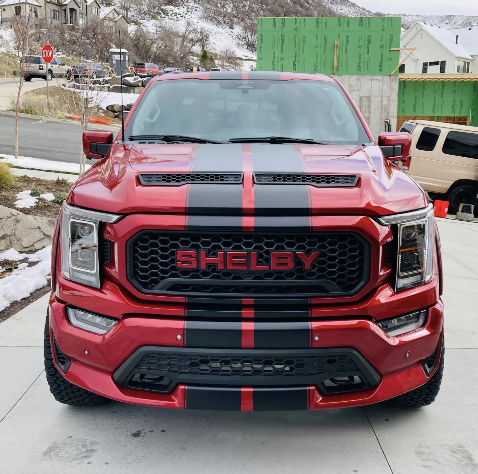 Shelby F-150